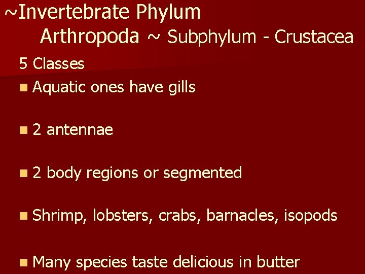 ~Invertebrate Phylum Arthropoda ~ Subphylum - Crustacea 5 Classes n Aquatic ones have gills