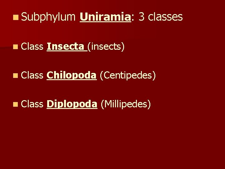 n Subphylum Uniramia: 3 classes n Class Insecta (insects) n Class Chilopoda (Centipedes) n
