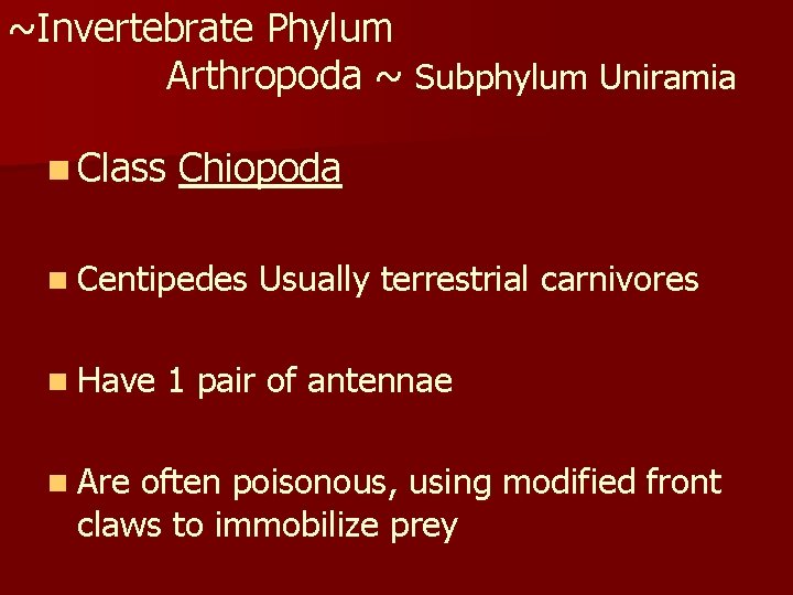 ~Invertebrate Phylum Arthropoda ~ Subphylum Uniramia n Class Chiopoda n Centipedes n Have n