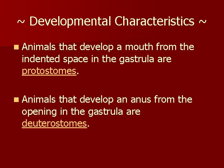 ~ Developmental Characteristics ~ n Animals that develop a mouth from the indented space