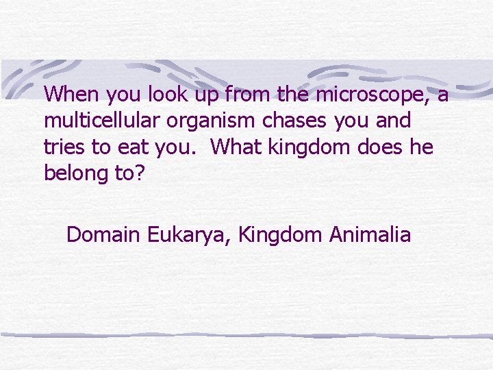 When you look up from the microscope, a multicellular organism chases you and tries