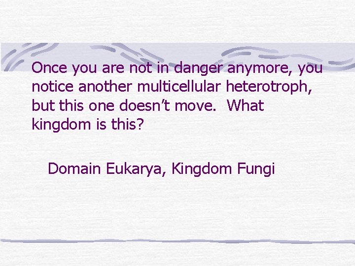 Once you are not in danger anymore, you notice another multicellular heterotroph, but this