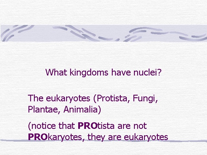 What kingdoms have nuclei? The eukaryotes (Protista, Fungi, Plantae, Animalia) (notice that PROtista are