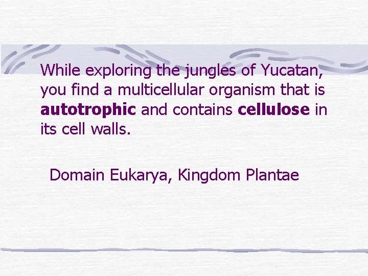 While exploring the jungles of Yucatan, you find a multicellular organism that is autotrophic