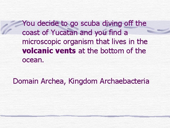 You decide to go scuba diving off the coast of Yucatan and you find