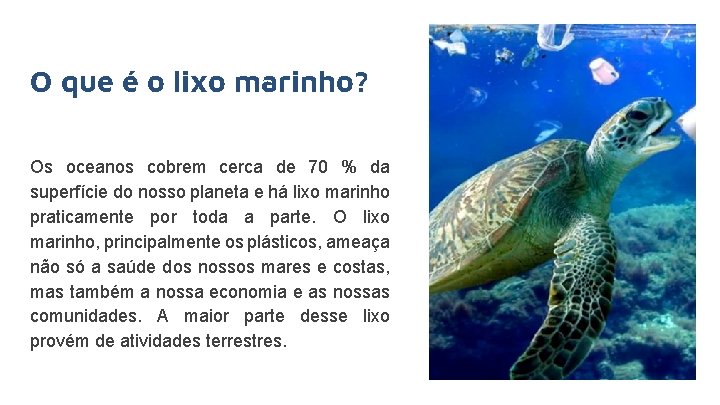 O que é o lixo marinho? Os oceanos cobrem cerca de 70 % da