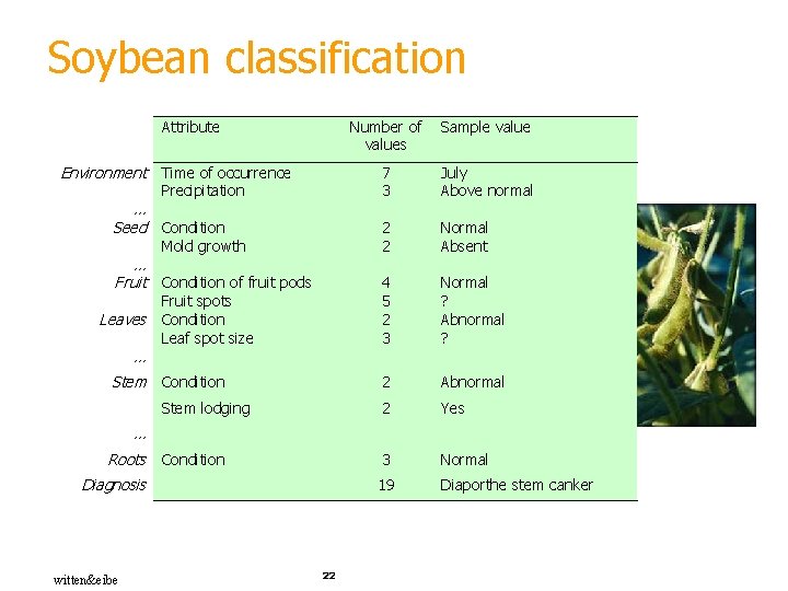 Soybean classification Attribute Number of values Sample value Precipitation 7 3 July Above normal