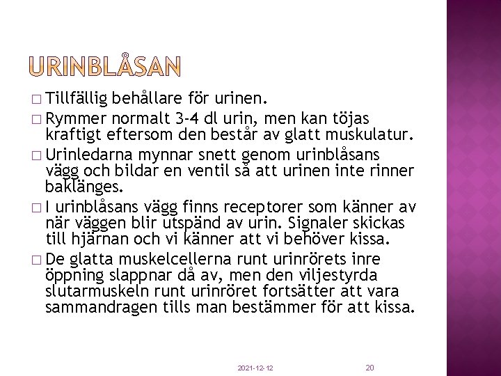 � Tillfällig behållare för urinen. � Rymmer normalt 3 -4 dl urin, men kan