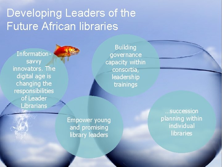 Developing Leaders of the Future African libraries Informationsavvy innovators. The digital age is changing