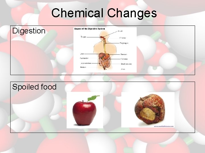 Chemical Changes Digestion Spoiled food 