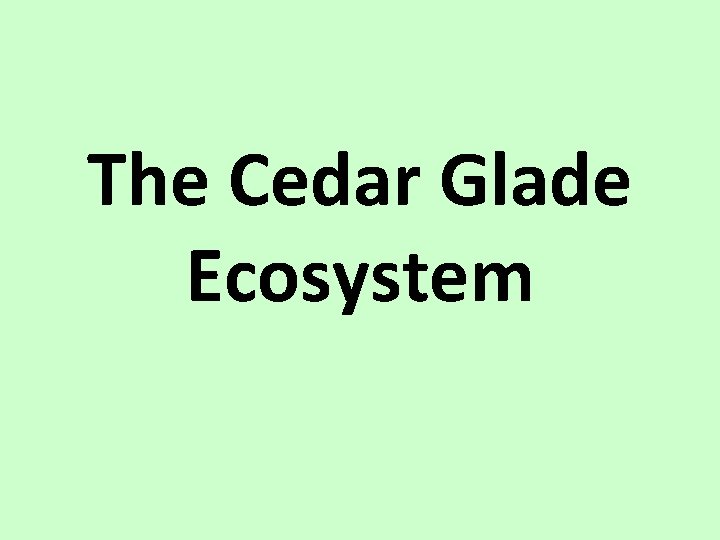 The Cedar Glade Ecosystem 