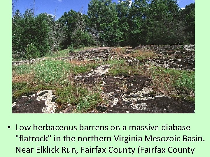  • Low herbaceous barrens on a massive diabase "flatrock" in the northern Virginia