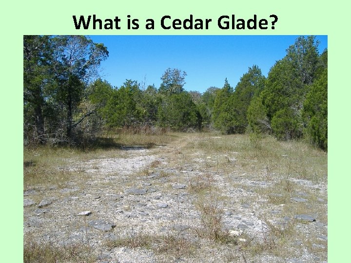 What is a Cedar Glade? 