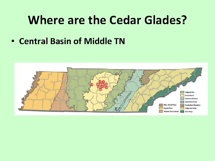 Where are the Cedar Glades? • Central Basin of Middle TN 