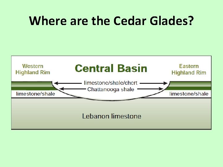 Where are the Cedar Glades? 