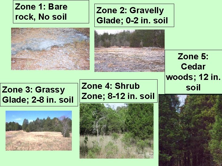 Zone 1: Bare rock, No soil Zone 2: Gravelly Glade; 0 -2 in. soil