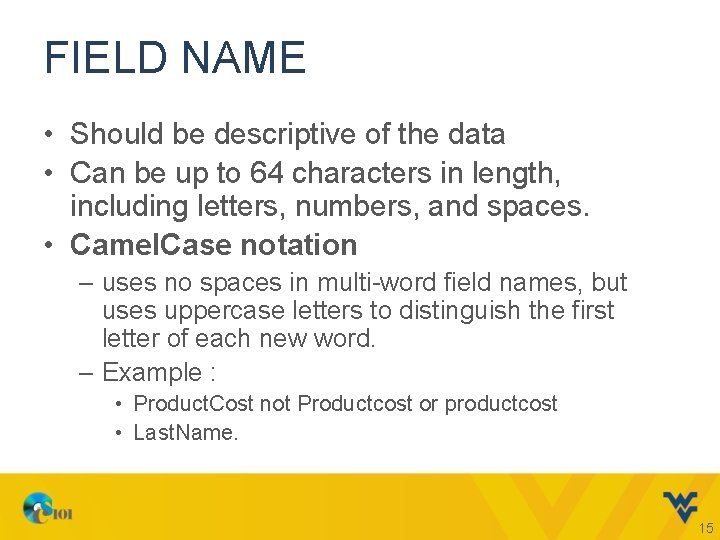 FIELD NAME • Should be descriptive of the data • Can be up to