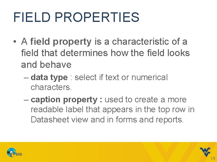 FIELD PROPERTIES • A field property is a characteristic of a field that determines
