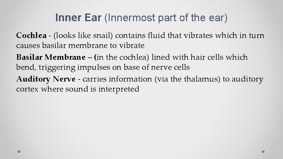 Inner Ear (Innermost part of the ear) Cochlea - (looks like snail) contains fluid