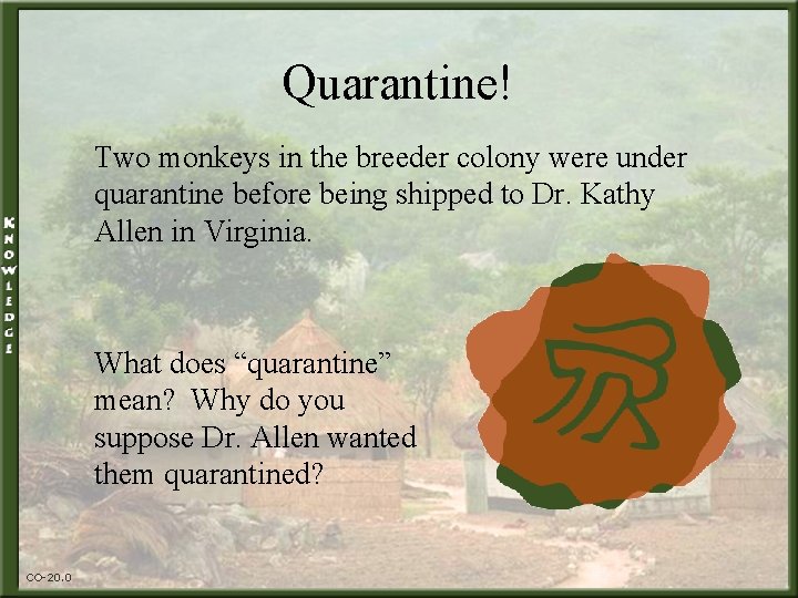 Quarantine! Two monkeys in the breeder colony were under quarantine before being shipped to