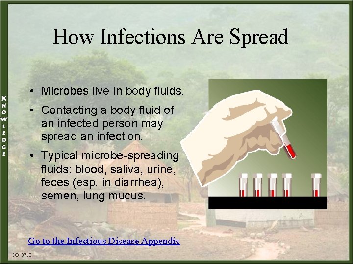 How Infections Are Spread • Microbes live in body fluids. • Contacting a body