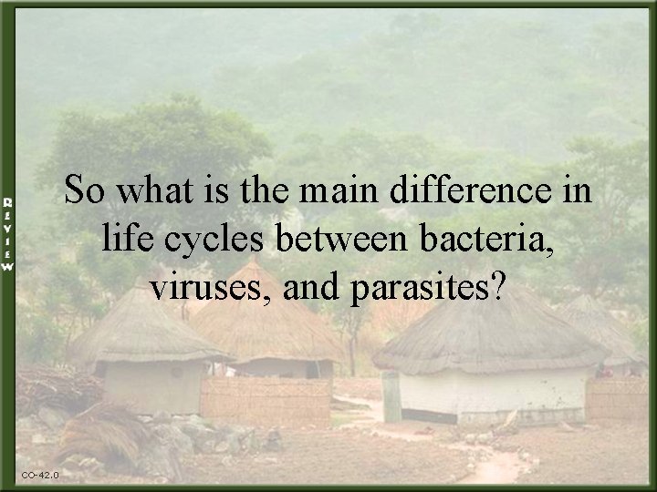So what is the main difference in life cycles between bacteria, viruses, and parasites?