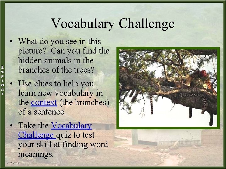 Vocabulary Challenge • What do you see in this picture? Can you find the