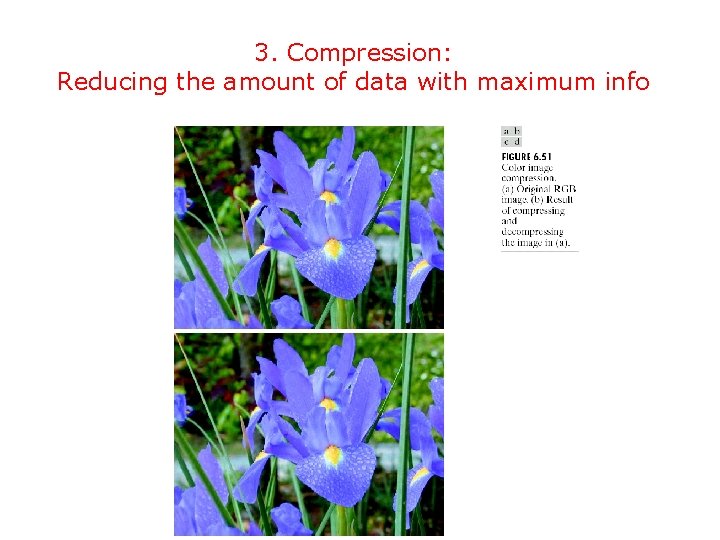 3. Compression: Reducing the amount of data with maximum info 