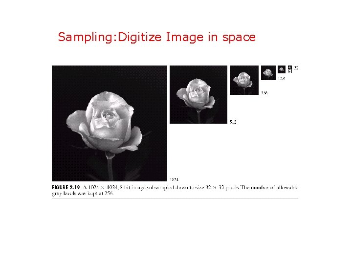 Sampling: Digitize Image in space 