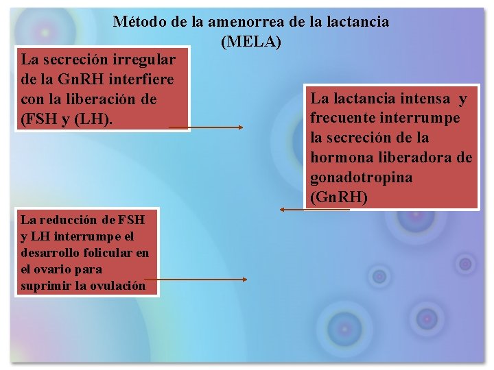 Método de la amenorrea de la lactancia (MELA) La secreción irregular de la Gn.