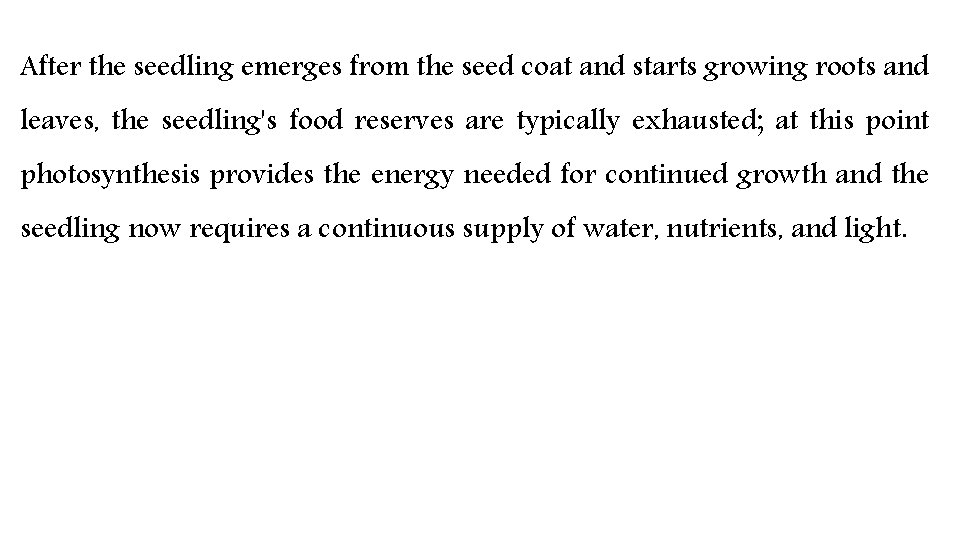 After the seedling emerges from the seed coat and starts growing roots and leaves,