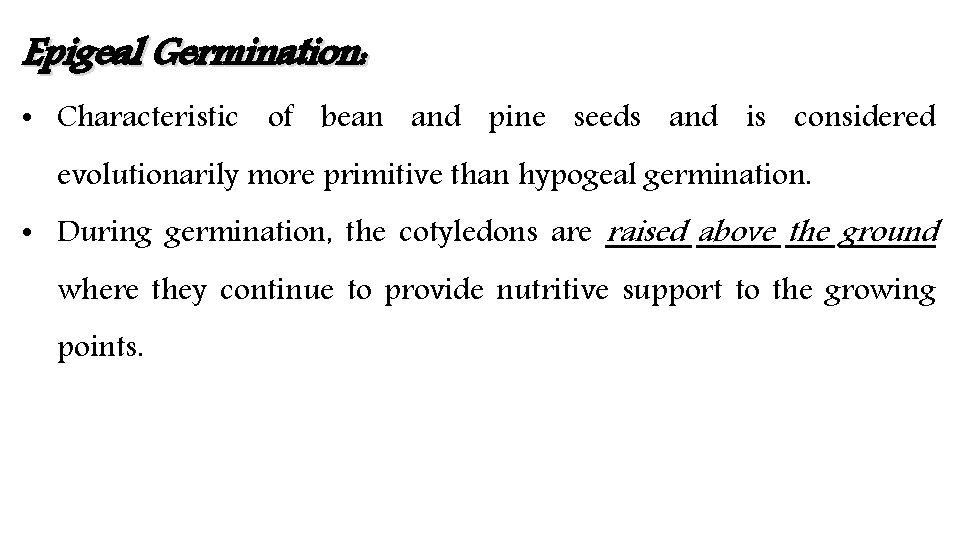 Epigeal Germination: • Characteristic of bean and pine seeds and is considered evolutionarily more