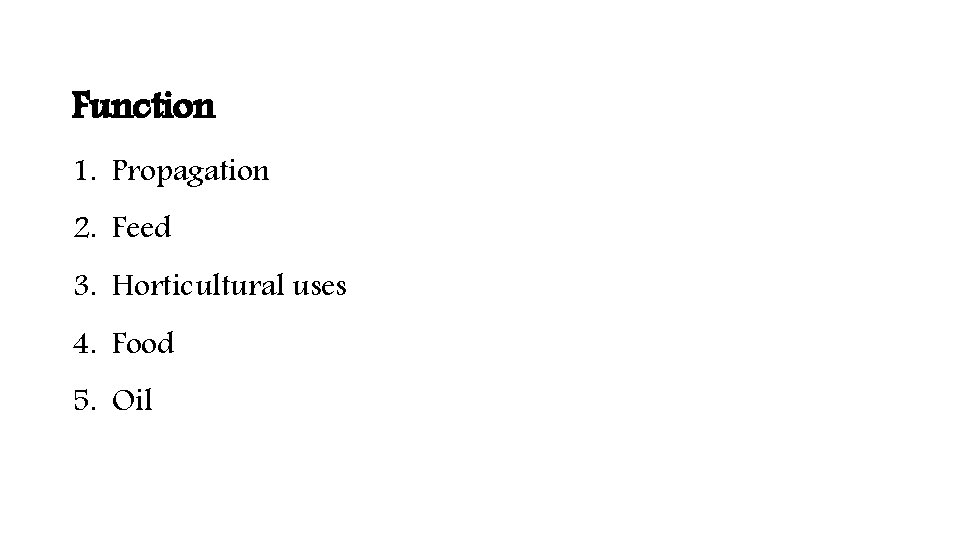 Function 1. Propagation 2. Feed 3. Horticultural uses 4. Food 5. Oil 