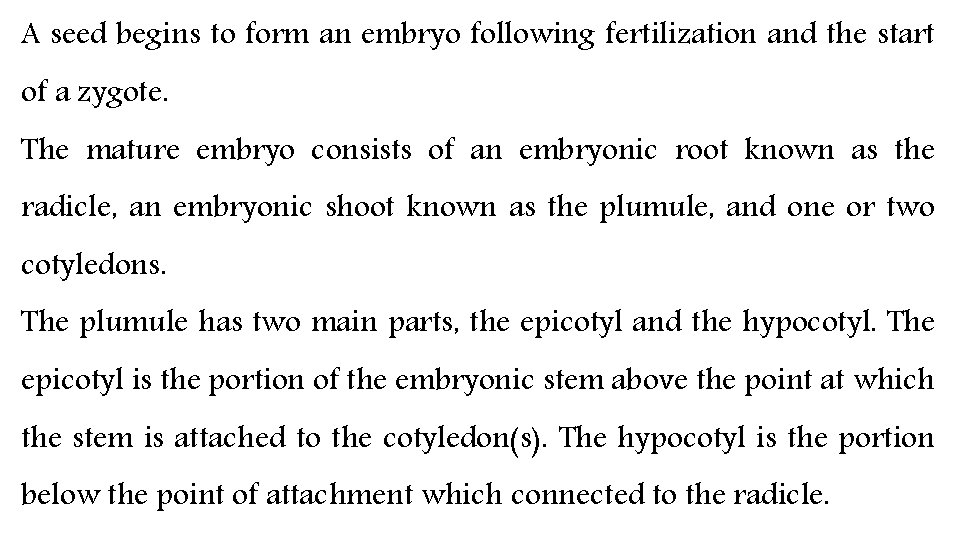 A seed begins to form an embryo following fertilization and the start of a