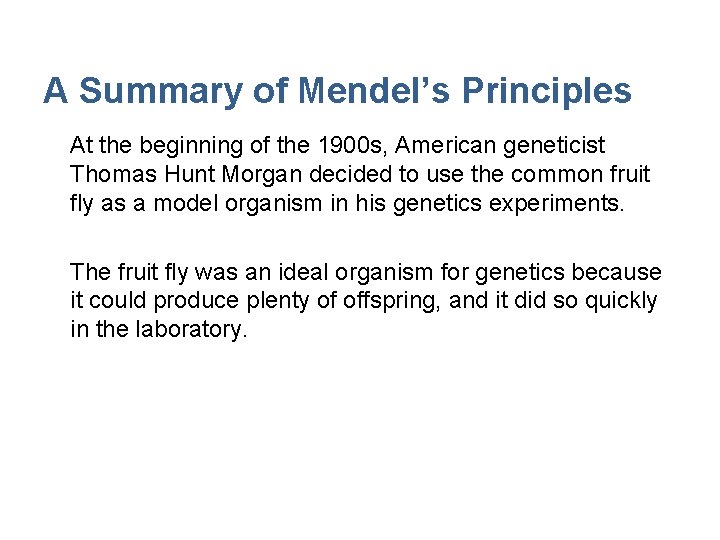 A Summary of Mendel’s Principles At the beginning of the 1900 s, American geneticist