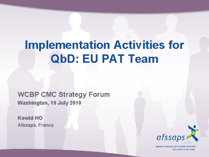 Implementation Activities for Qb. D: EU PAT Team WCBP CMC Strategy Forum Washington, 19
