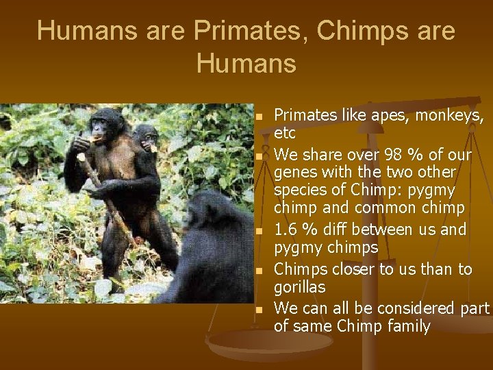 Humans are Primates, Chimps are Humans n n n Primates like apes, monkeys, etc