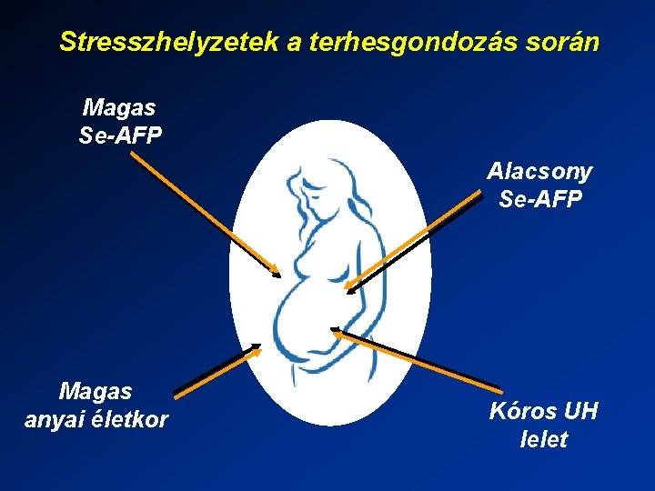 Stresszhelyzetek a terhesgondozás során Magas Se-AFP Alacsony Se-AFP Magas anyai életkor Kóros UH lelet
