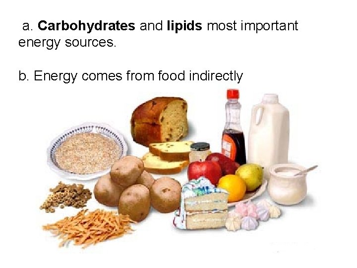 a. Carbohydrates and lipids most important energy sources. b. Energy comes from food indirectly