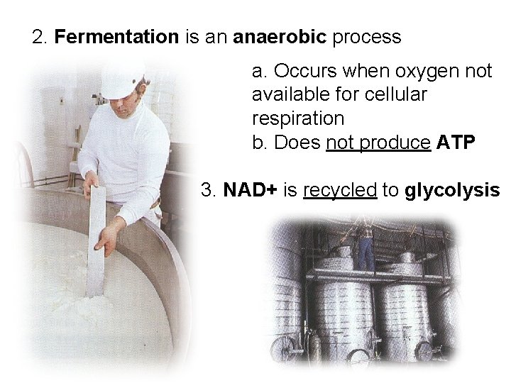 2. Fermentation is an anaerobic process a. Occurs when oxygen not available for cellular