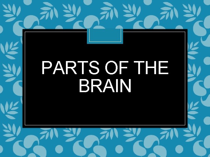 PARTS OF THE BRAIN 