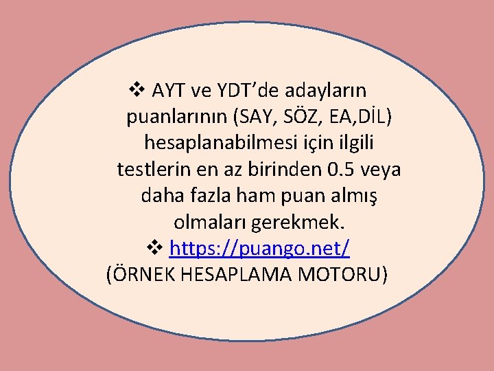 v AYT ve YDT’de adayların puanlarının (SAY, SÖZ, EA, DİL) hesaplanabilmesi için ilgili testlerin