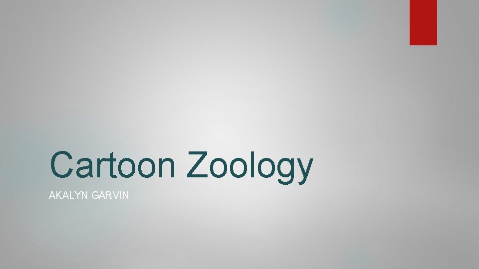 Cartoon Zoology AKALYN GARVIN 