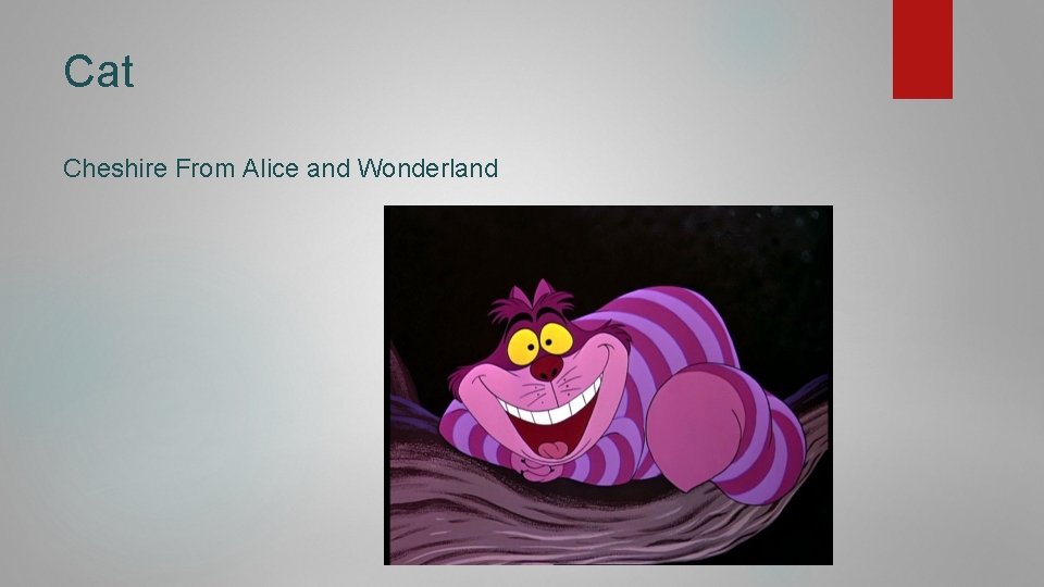 Cat Cheshire From Alice and Wonderland 