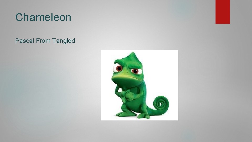 Chameleon Pascal From Tangled 