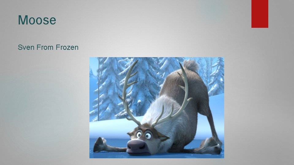 Moose Sven From Frozen 