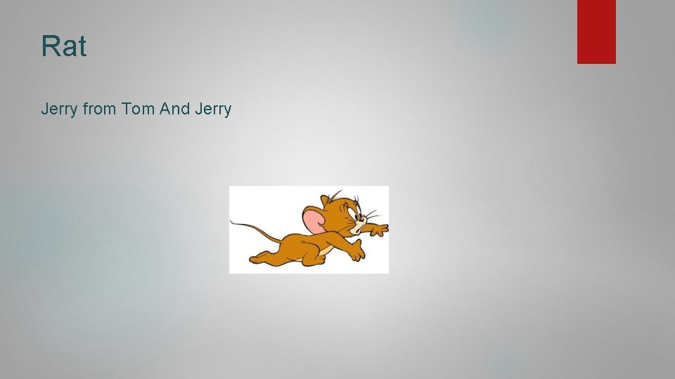 Rat Jerry from Tom And Jerry 