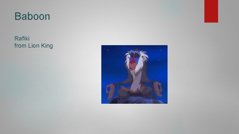 Baboon Rafiki from Lion King 