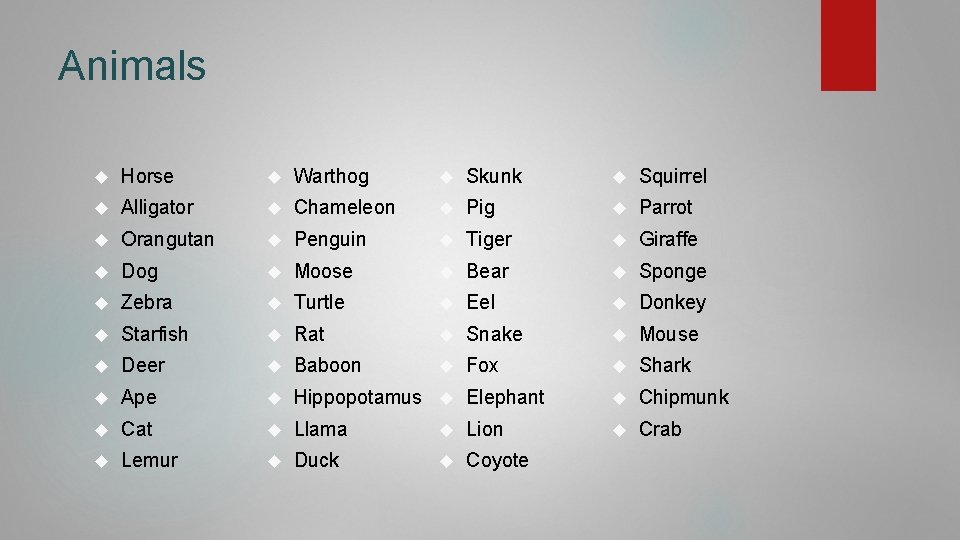 Animals Horse Warthog Skunk Squirrel Alligator Chameleon Pig Parrot Orangutan Penguin Tiger Giraffe Dog