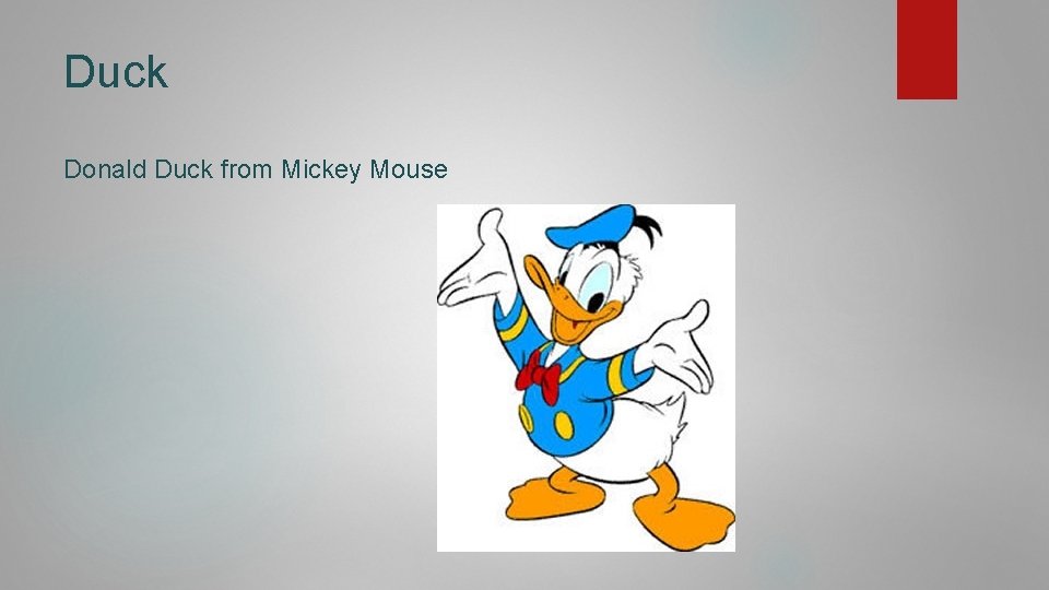 Duck Donald Duck from Mickey Mouse 